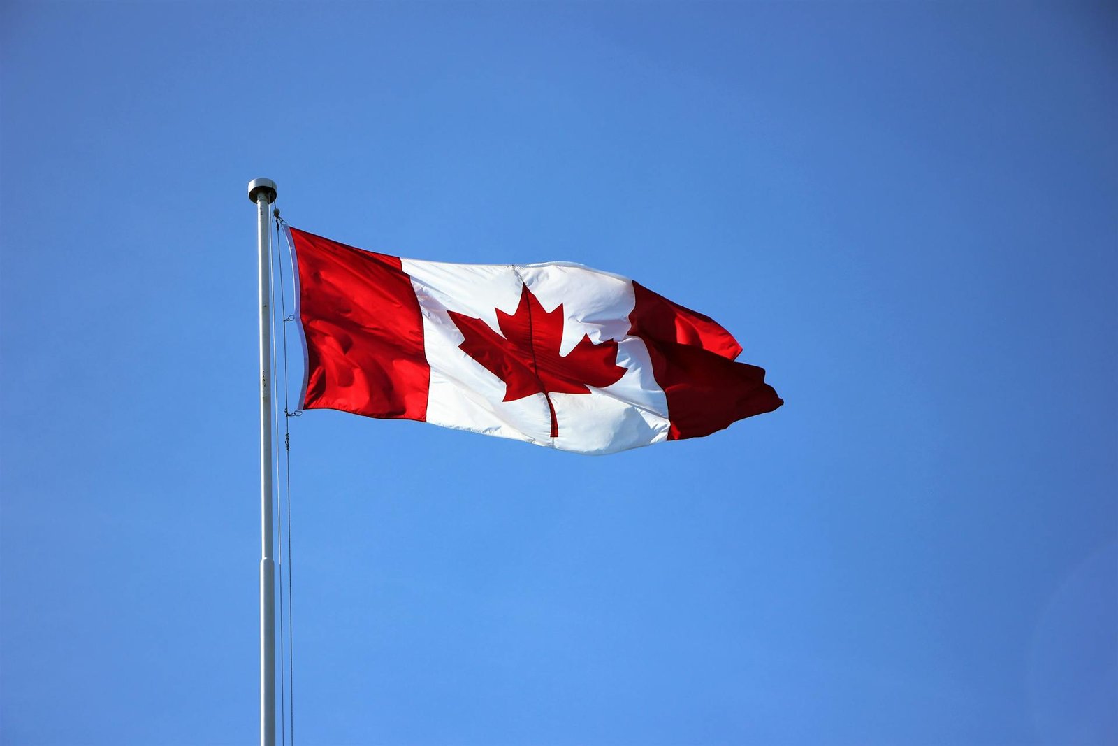 Tư Vấn Thuế Canada